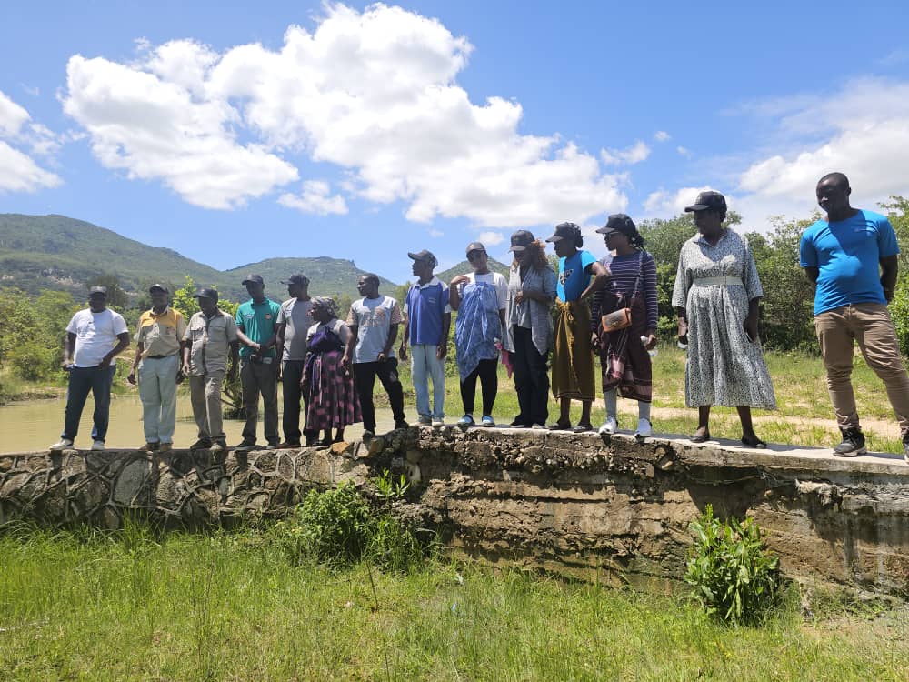 Reconstructed Community Bridge